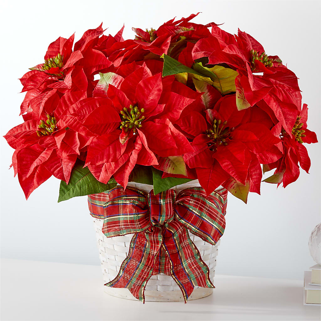 Happiest Holidays Poinsettia – SMITH FLORAL & GREENHOUSES, Lansing MI