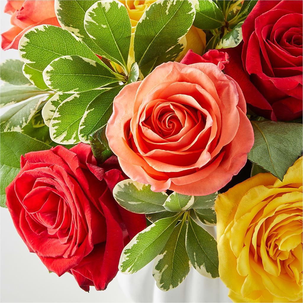 Gourd of Gratitude – SMITH FLORAL & GREENHOUSES, Lansing MI