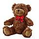 Adorable Plush Bear – SMITH FLORAL & GREENHOUSES, Lansing MI