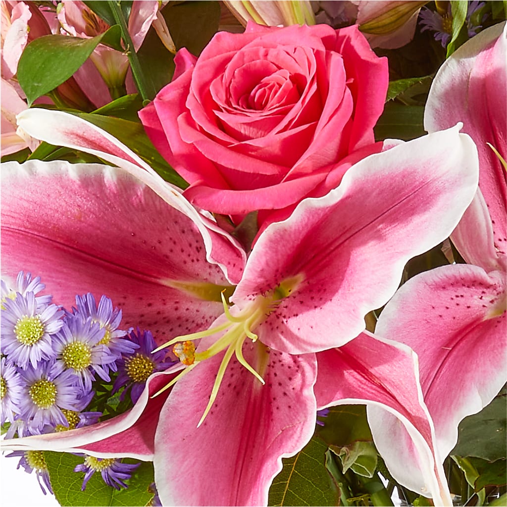 Written in the Stars Bouquet – SMITH FLORAL & GREENHOUSES, Lansing MI