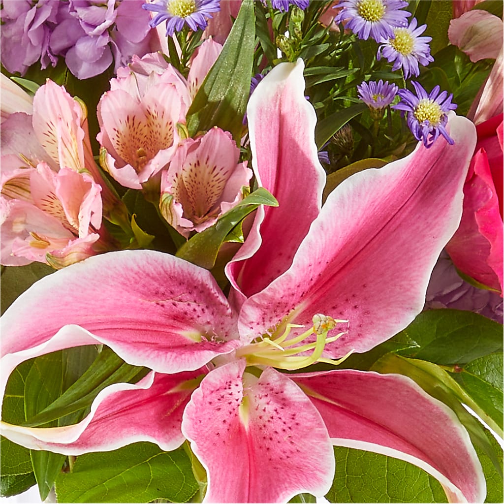 Written in the Stars Bouquet – SMITH FLORAL & GREENHOUSES, Lansing MI