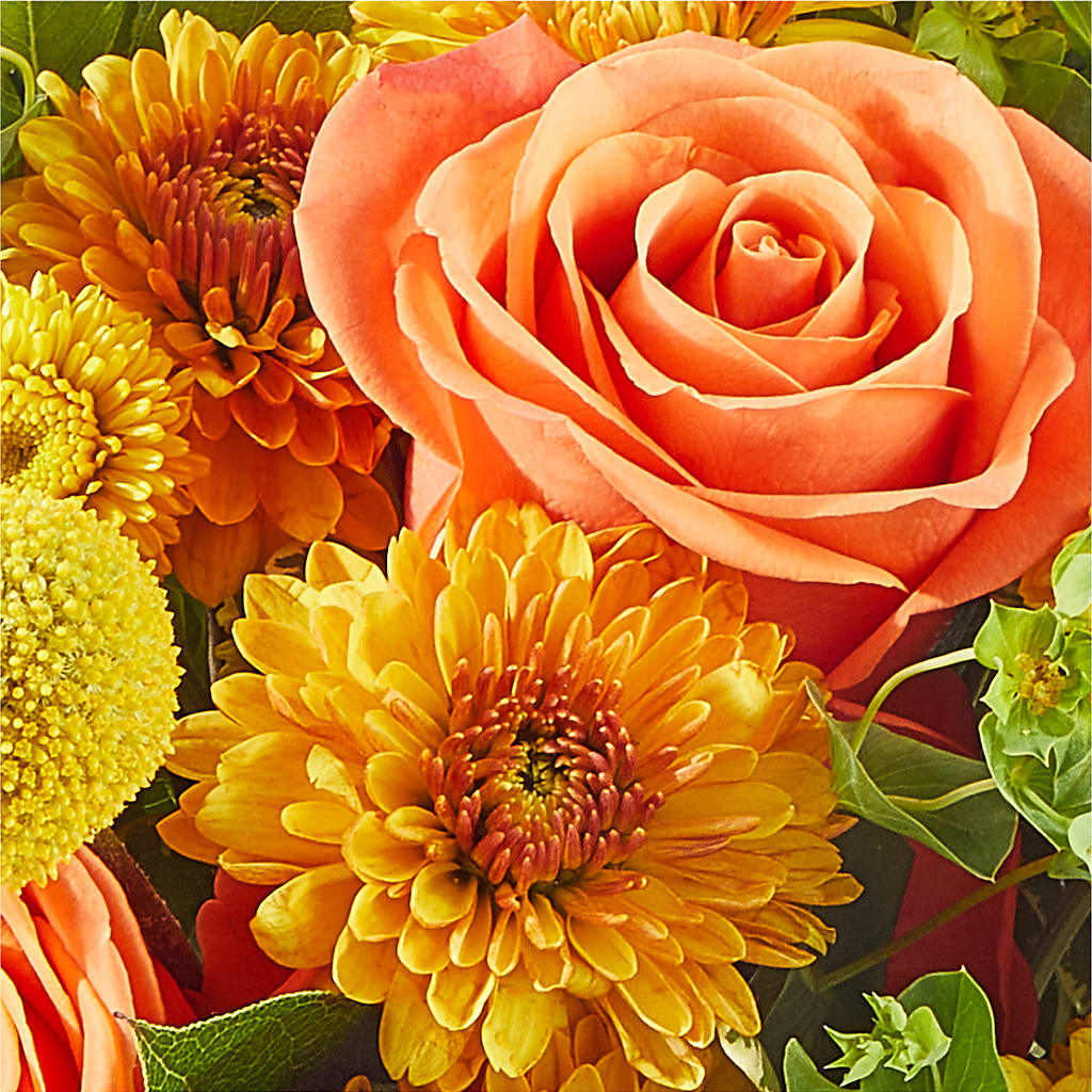 Gourdgeous Pumpkin – SMITH FLORAL & GREENHOUSES, Lansing MI