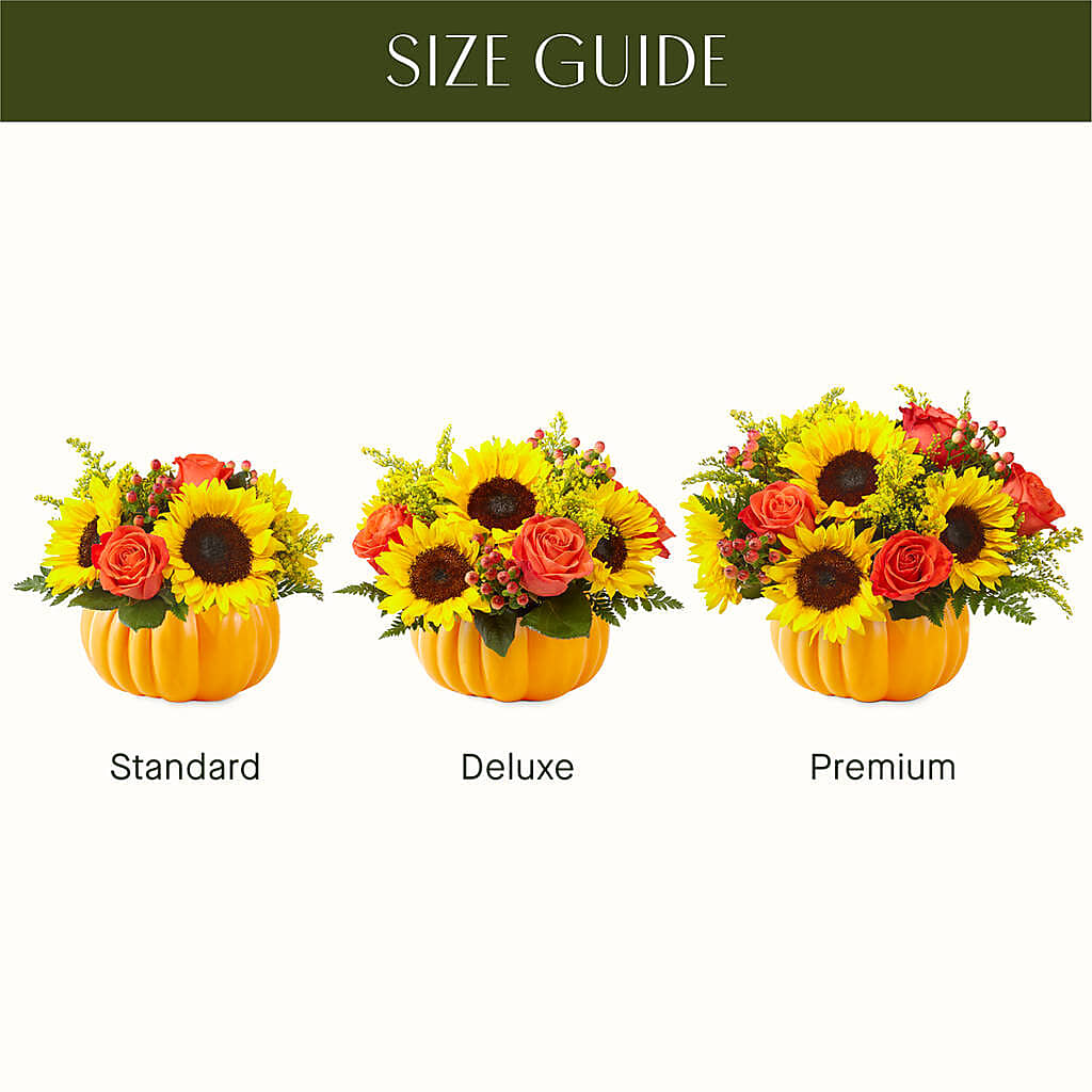 Pick of the Patch Pumpkin Bouquet – SMITH FLORAL & GREENHOUSES, Lansing MI