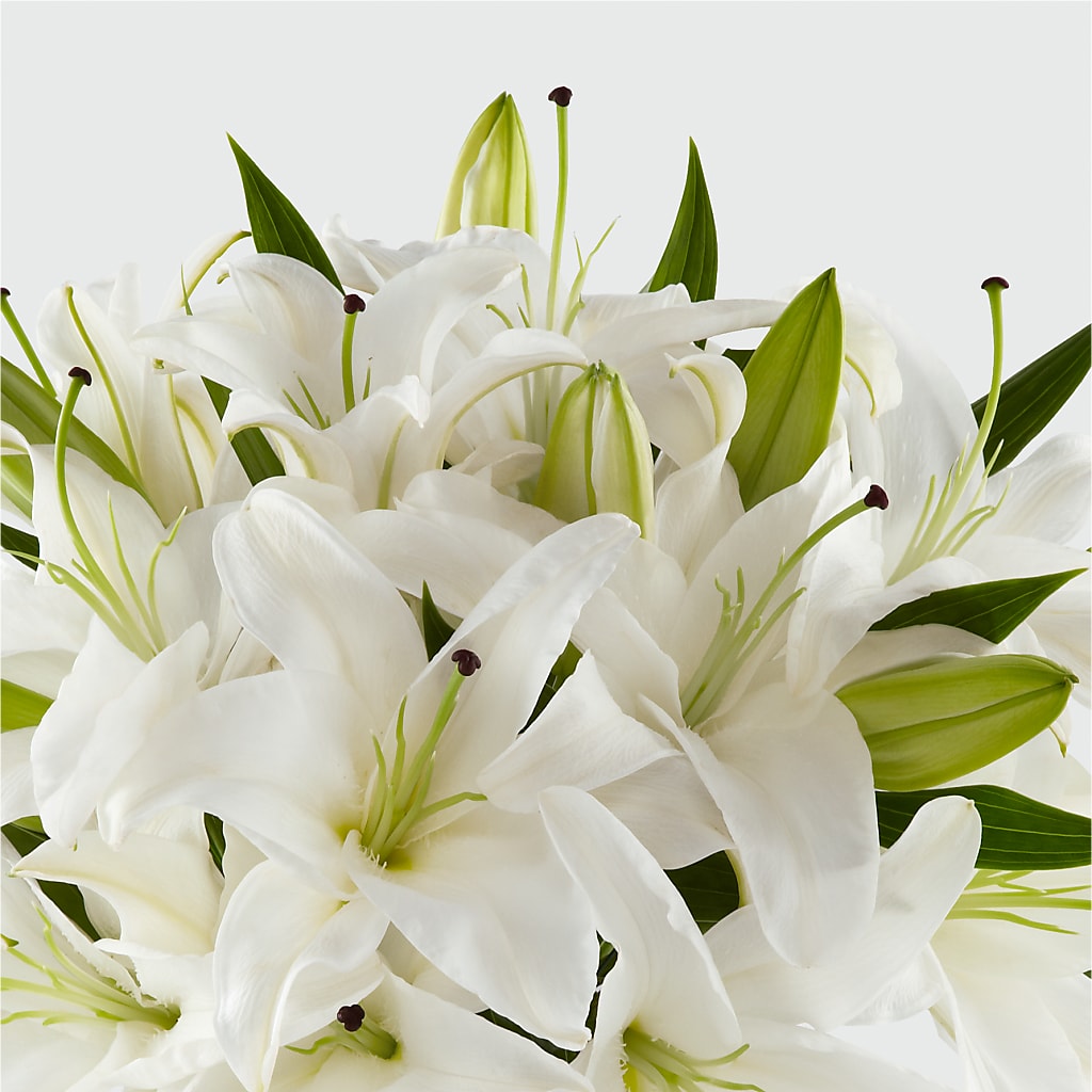 Faithful Blessings Bouquet – SMITH FLORAL & GREENHOUSES, Lansing MI