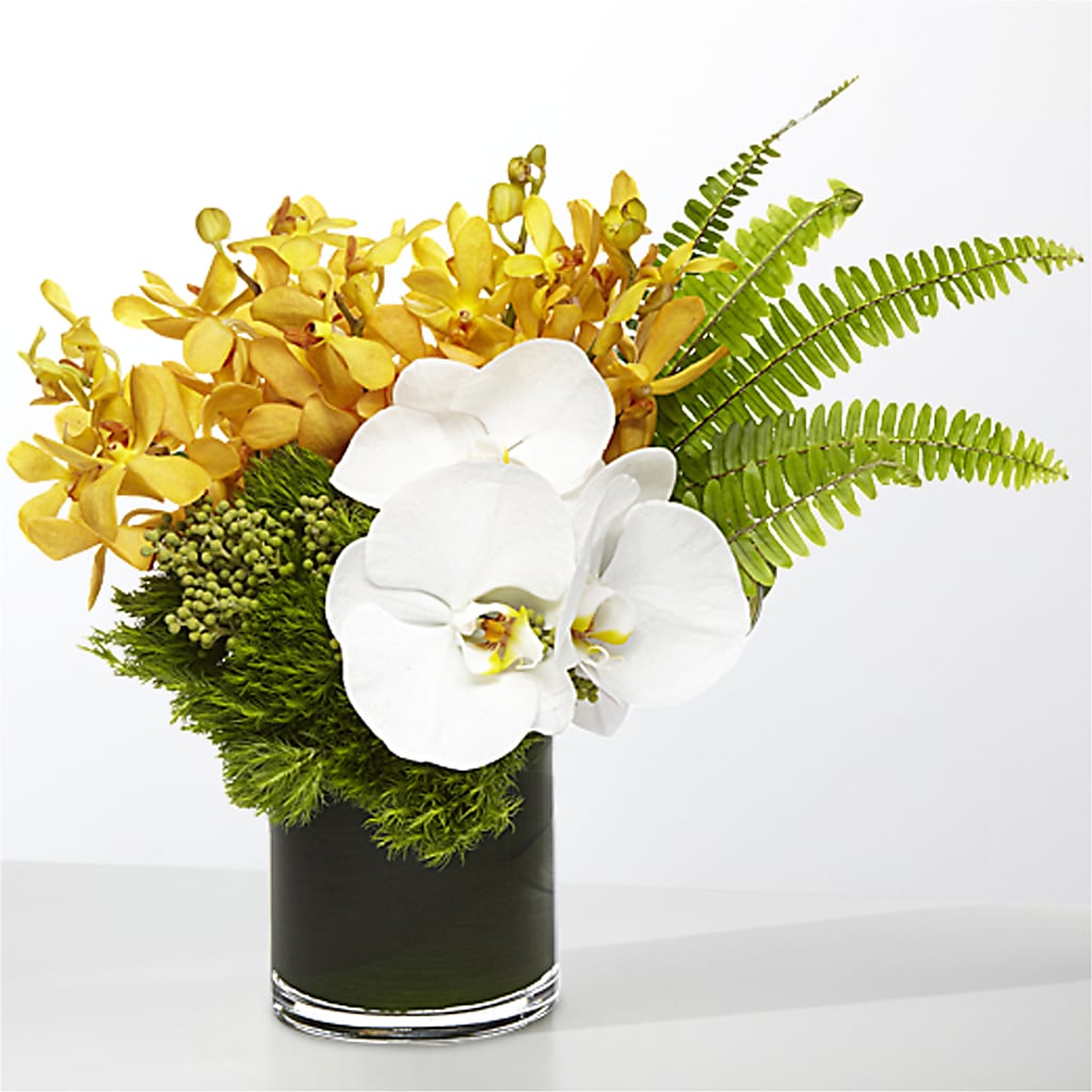 The Tropics – SMITH FLORAL & GREENHOUSES, Lansing MI