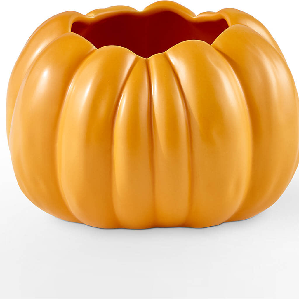 Pick of the Patch Pumpkin Bouquet – SMITH FLORAL & GREENHOUSES, Lansing MI