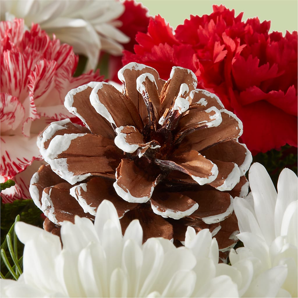 Candy Cane Lane Bouquet – SMITH FLORAL & GREENHOUSES, Lansing MI