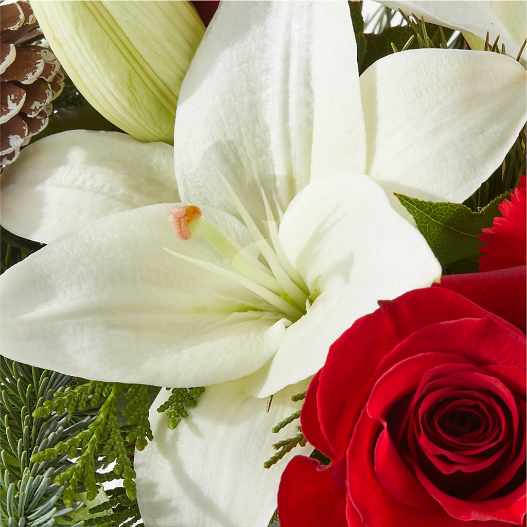 Oh So Jolly Bouquet – SMITH FLORAL & GREENHOUSES, Lansing MI