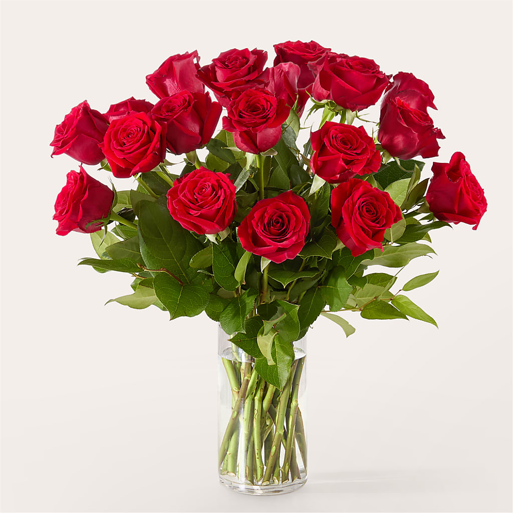 The One Red Rose Bouquet – SMITH FLORAL & GREENHOUSES, Lansing MI