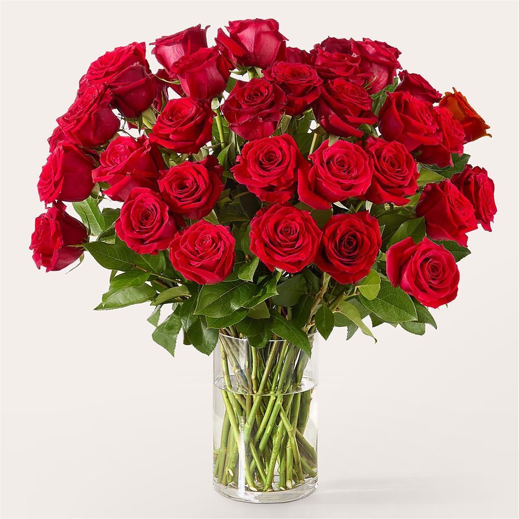 The One Red Rose Bouquet – SMITH FLORAL & GREENHOUSES, Lansing MI
