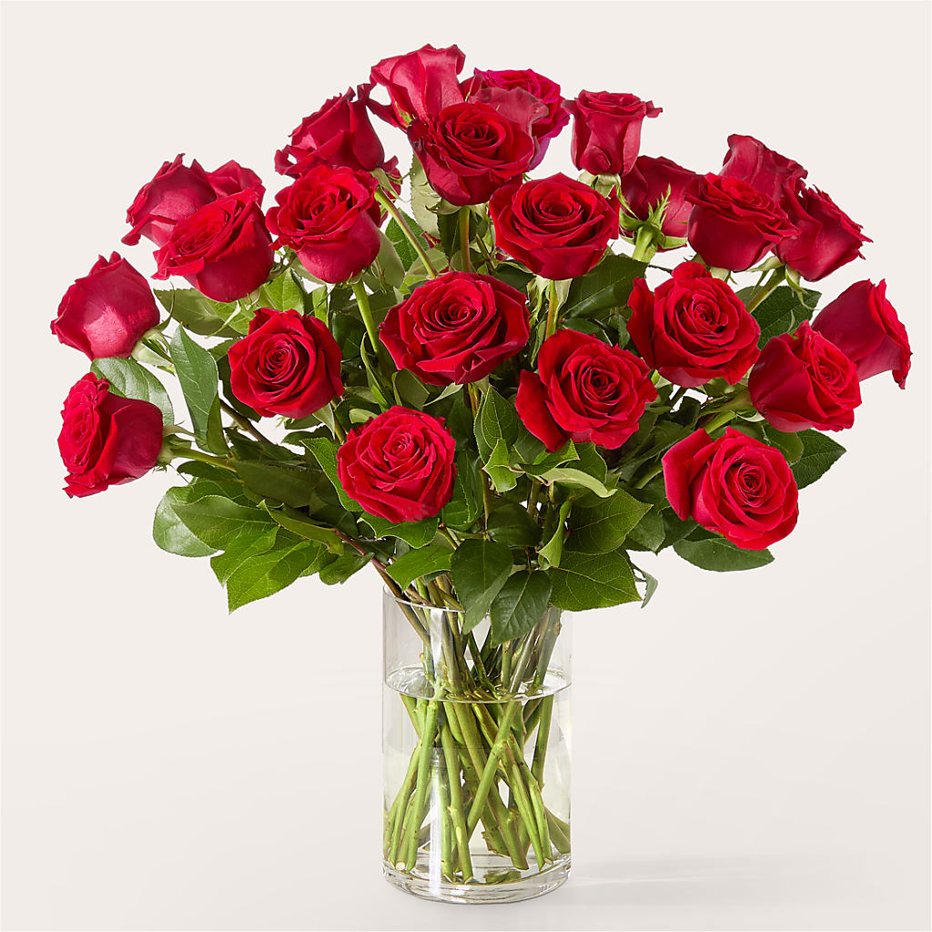 The One Red Rose Bouquet – SMITH FLORAL & GREENHOUSES, Lansing MI