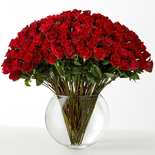 The Idealist – SMITH FLORAL & GREENHOUSES, Lansing MI