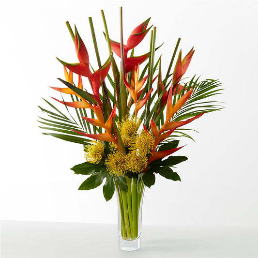 The Drama – SMITH FLORAL & GREENHOUSES, Lansing MI